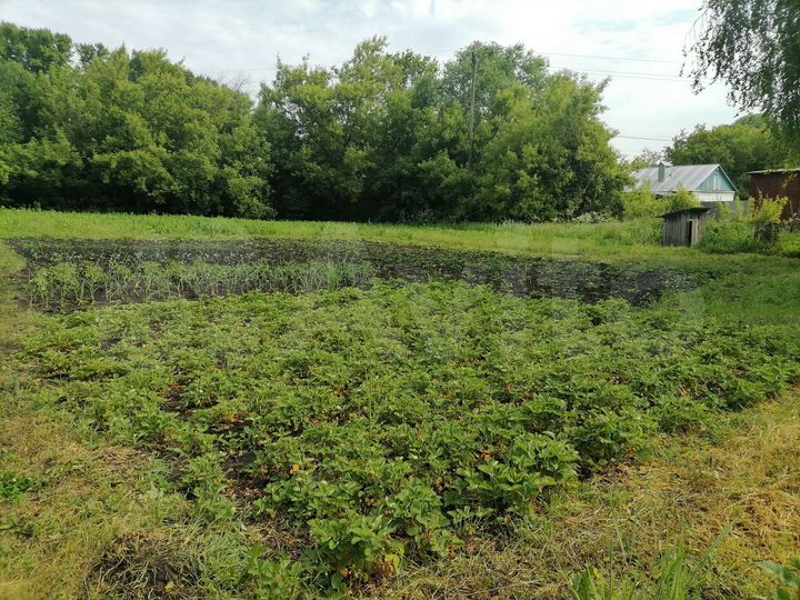 Дом 72 м² на участке 15 сот.