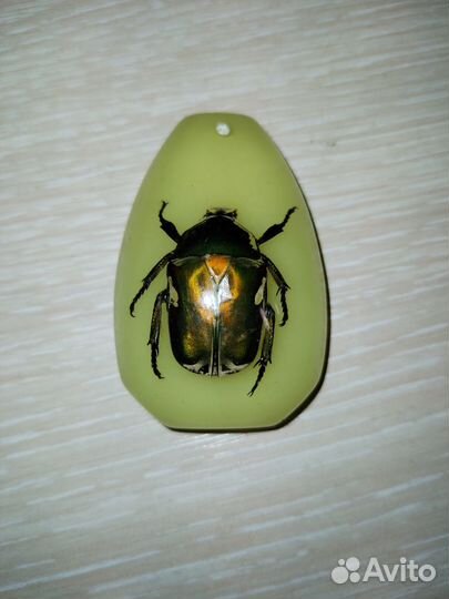 Насекомые в эпоксидной смоле