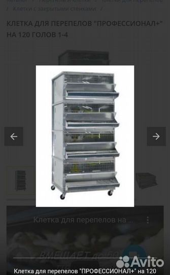 Клетка для перепелов