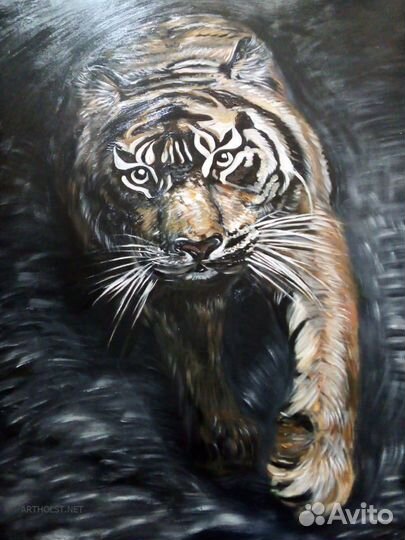 Картина. Тигр. Львы. Кошки