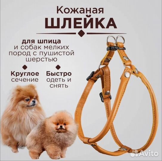 Шлейка для собаки
