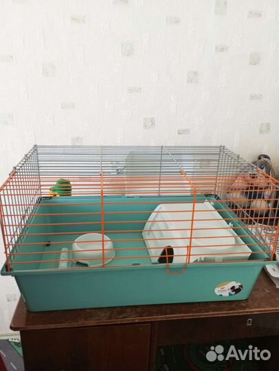 Клетка для кролика большая