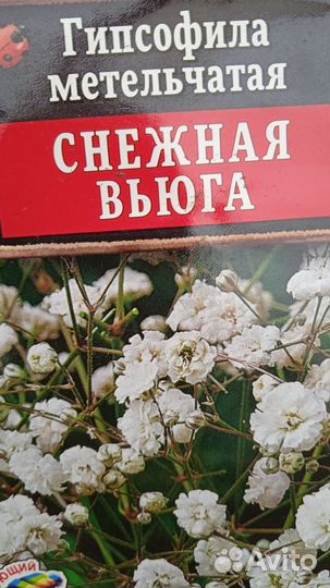 Гипсофила Снежинка и Роза Фейри