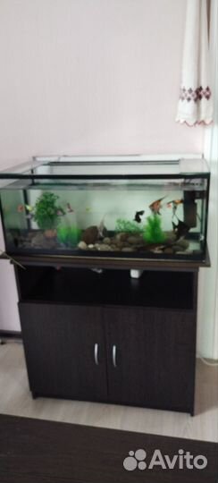 Аквариум
