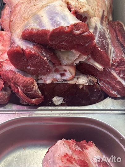 Кости для собак