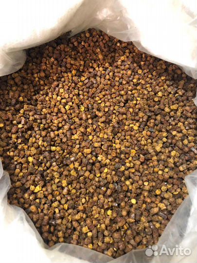 Пыльца 2023 г. прополис. перга