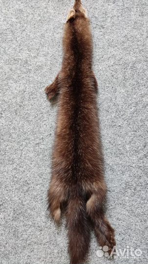 Шкурка соболя выделанная