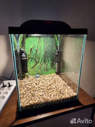 Аквариум