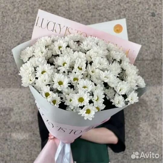Букет гигант из хризантем ромашка доставка