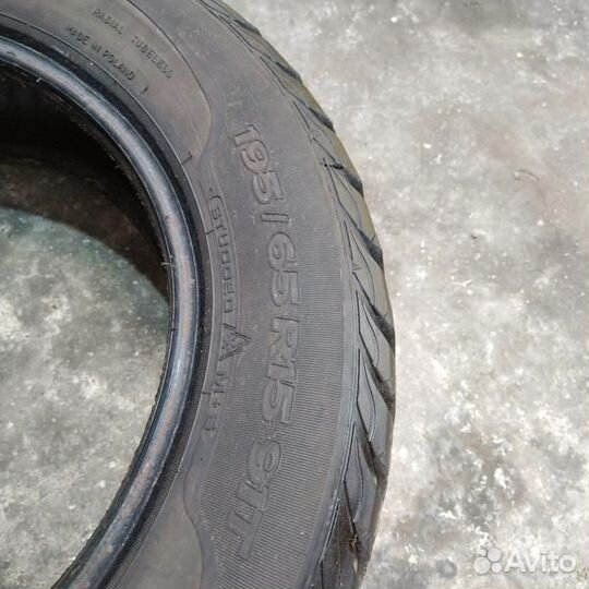 Sava Eskimo Stud 195/65 R15