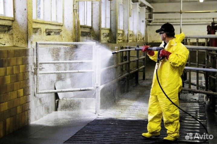 Уничтожение насекомых и грызунов