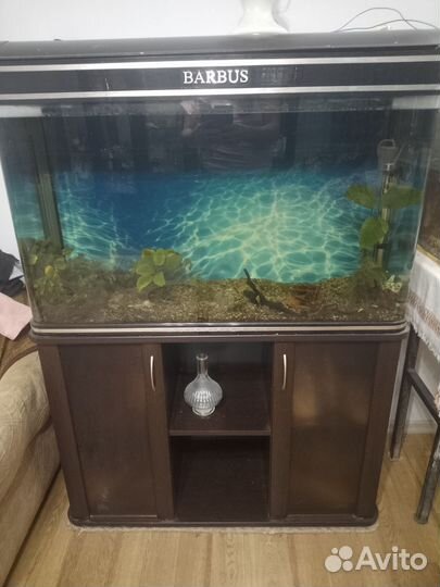 Аквариум бесшовный 200л
