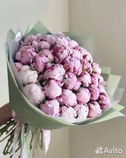 Букет из пионов цветы Доставка пионы 9 25 15