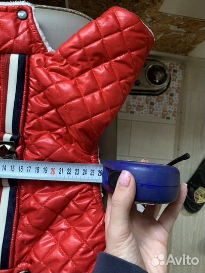 Одежда для маленьких собак