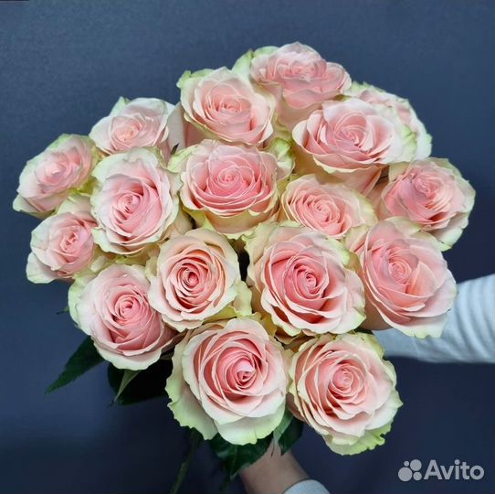 17 роз Фрутетто всего 2990