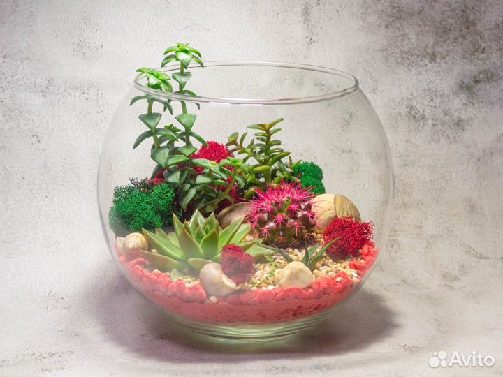 Флорариум в стеклянном шаре