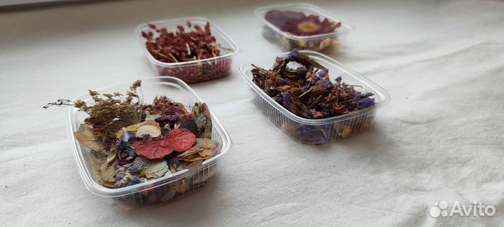Сухоцветы/сухие цветы/гербарий
