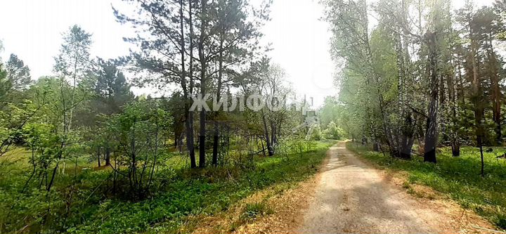 Участок 3,5 га (СНТ, ДНП)