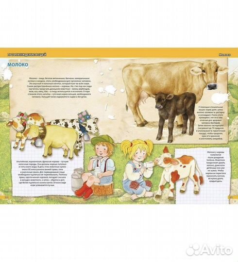 Самая большая энциклопедия