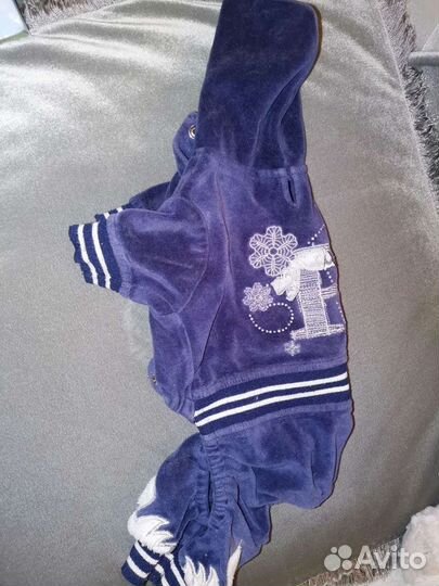 Вещи для маленькой собачки