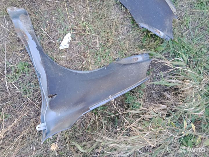 Крылья передние гранта