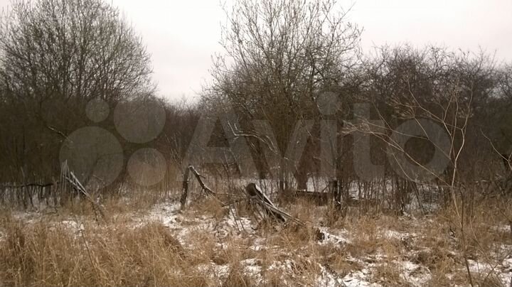 Участок 40 сот. (СНТ, ДНП)