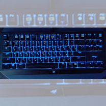 Razer blackwidow tournament chroma