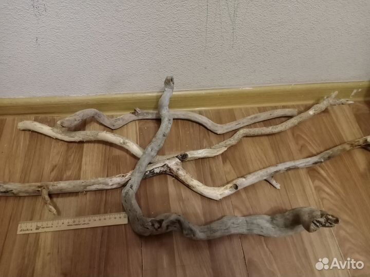 Дрифтвуд палочки из моря много разных