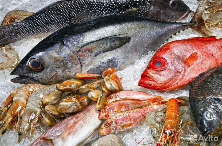 Готовый бизнес в рыбной сфере с клиентами