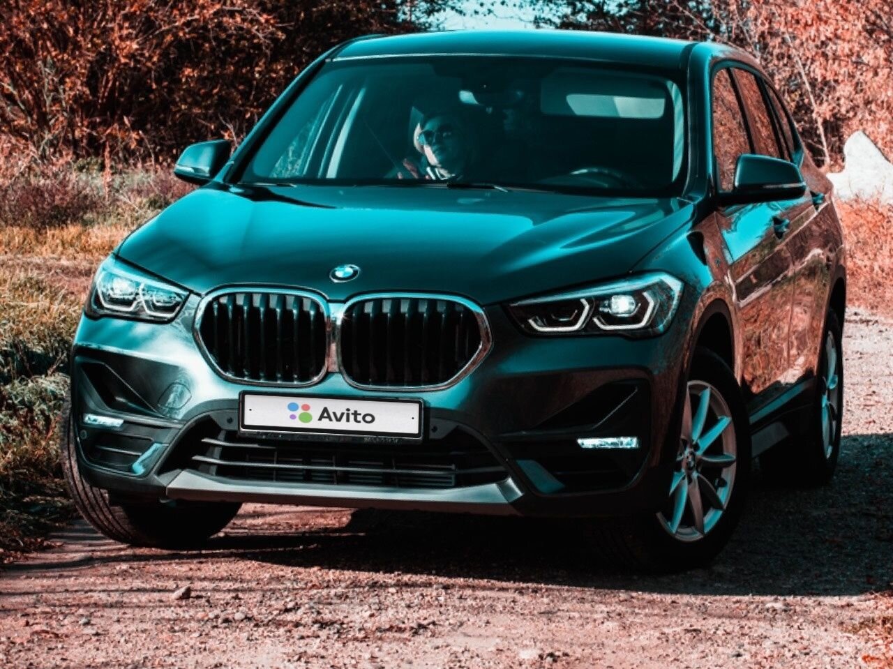 BMW X1: фото владельца