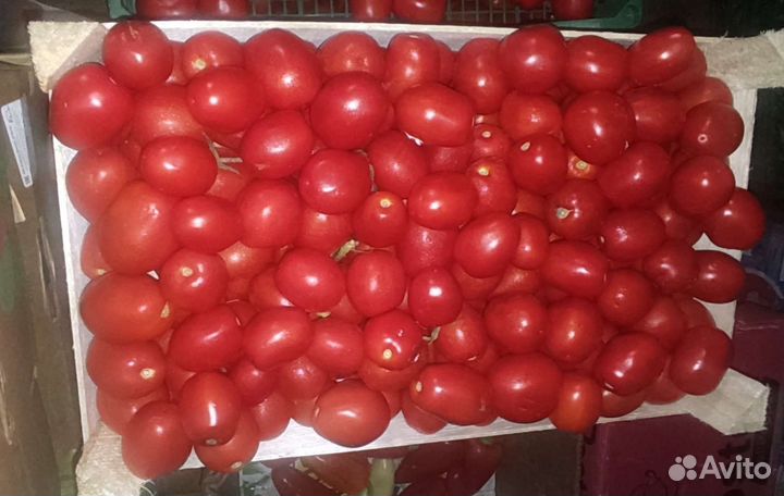 Картофель и овощи