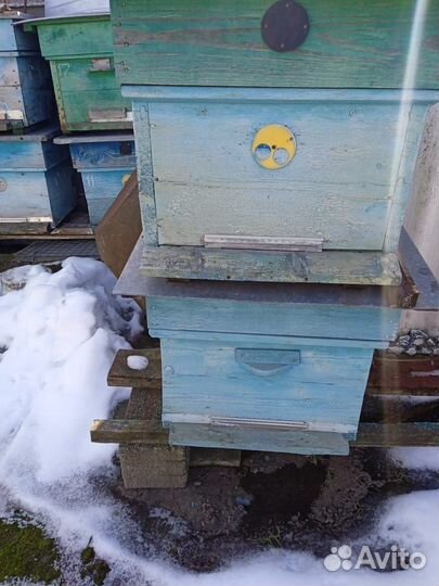 Ульи для пчел бу