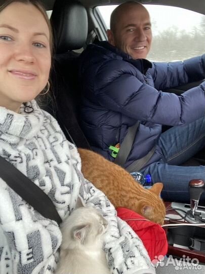 Водитель, перегонщик автомобиля, межгород