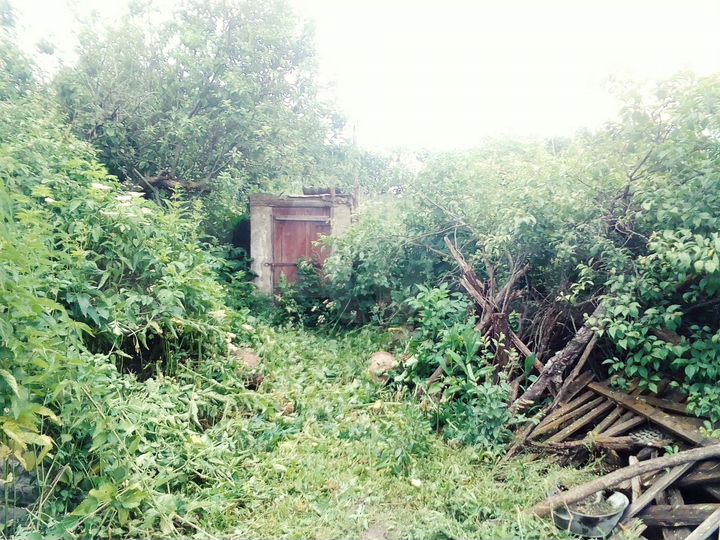 Дом 42 м² на участке 20 сот.