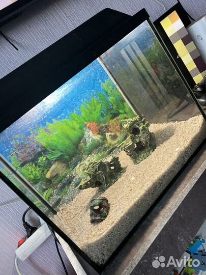 Аквариум