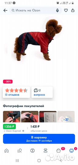 Дождевик для маленьких собак