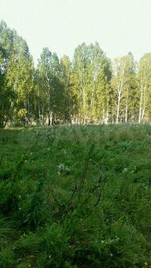 Участок 45 сот. (ИЖС)