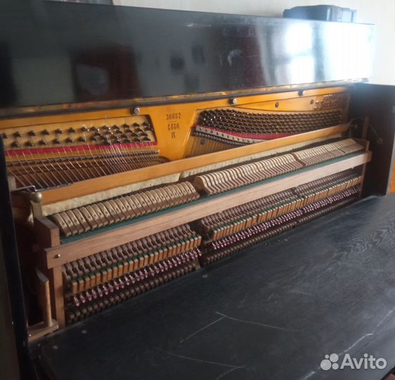 Фортепиано Музтрест (Becker)