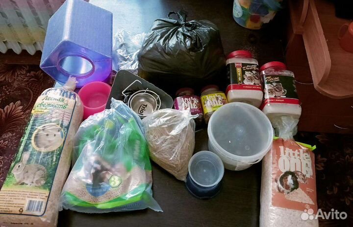 Шиншиллы с витриной