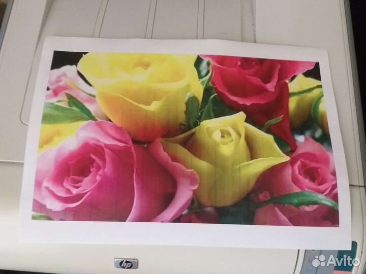 Принтер HP Color Laser Jet CP1215