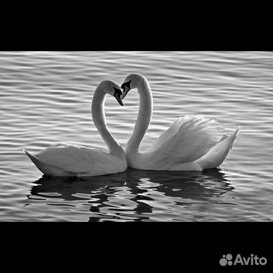 Модели для оформления ритуальных памятников