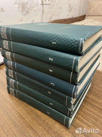 Книги Жизнь животных. В шести томах