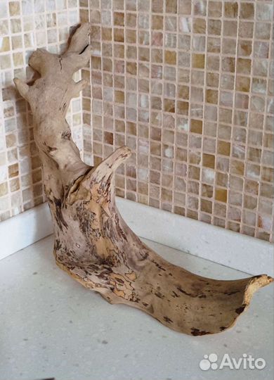 Коряга, Дрифт вуд, ветка натуральная/декоративная