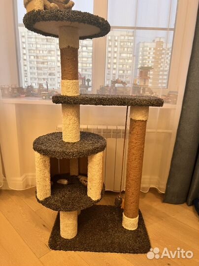 Когтеточка с домиком для кошки