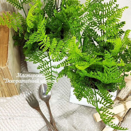 Ящики с декоративной зеленью