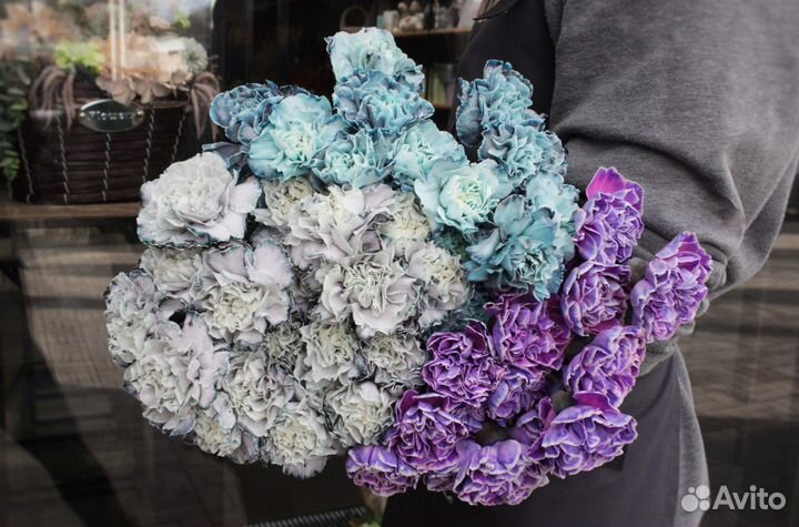 Букеты и композиции из гвоздик(диантусы)