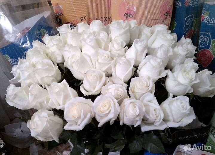 Розы Цветы Букеты 25 151 201 101 301 501 опт
