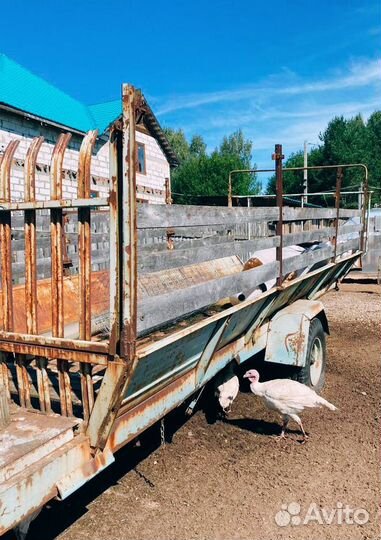 Прицеп тракторный 2ПТС-4 789, 1999