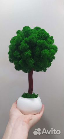 Топиарий дерево со мхом