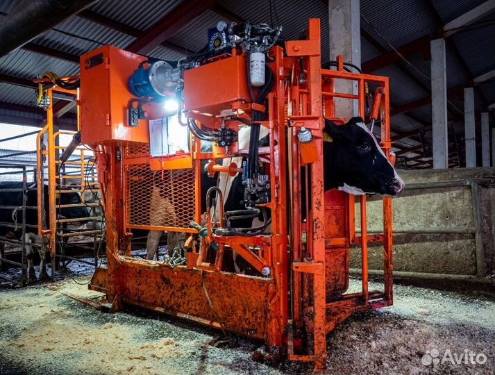 Станок для фиксации крс